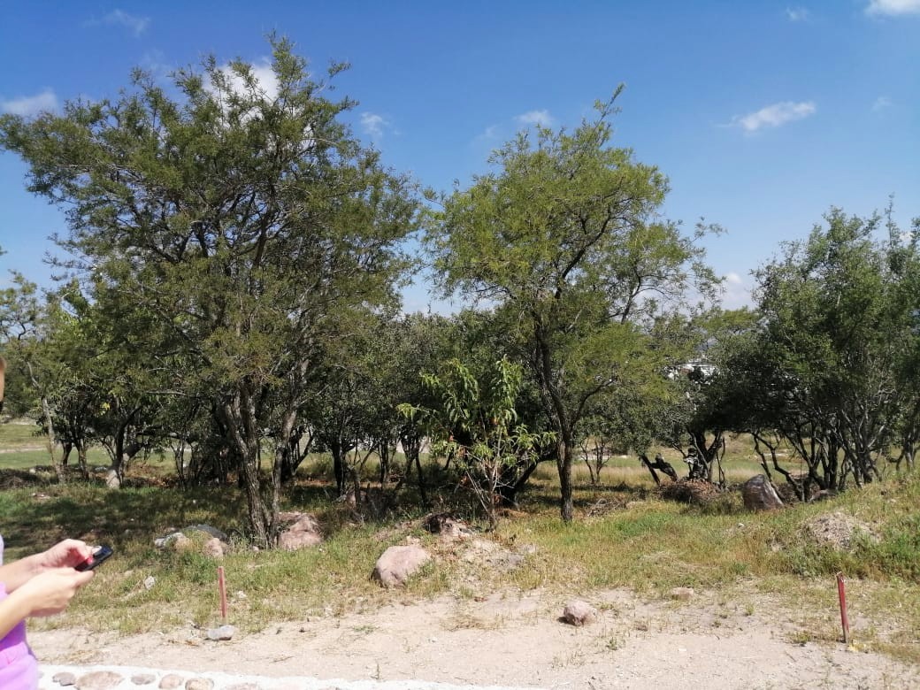  TERRENO EN VENTA – GRAN RESERVA PRESERVE 